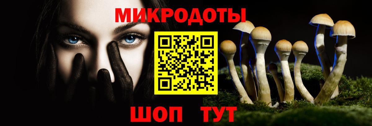 Волжский  Псилоцибиновые грибы Magic Shrooms  Вход с VPN 